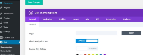 divi api key free