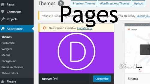 How to Create Pages for your new Word Press website with DIVI