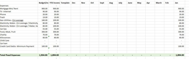 Budget and Monthly Expense Spreadsheet – Nina's Soap