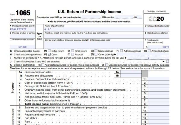 How to Complete 2020 Form 1065 – Nina's Soap