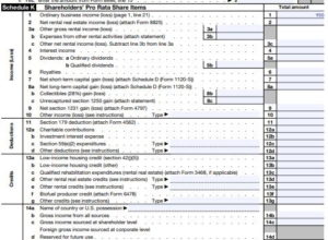 Revenues and Expenses to Track to File IRS Form 1120S – Nina's Soap