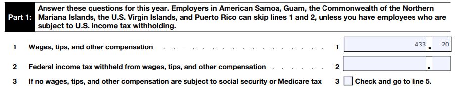 How To Fill Out Irs Form 944 For 2022 Employers Annual Federal Tax Return Ninas Soap 3051