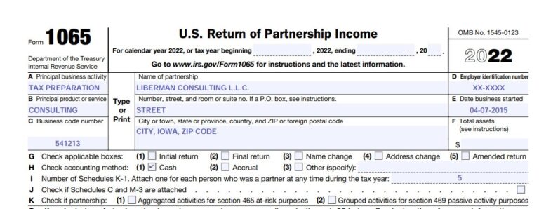 How to fill out IRS Form 1065 and Schedule K-1 for 2022 – Nina's Soap