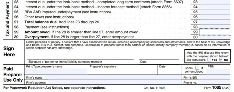 How to fill out IRS Form 1065 and Schedule K-1 for 2022 – Nina's Soap