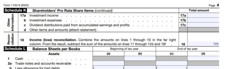 How to fill out Form 1120S and Schedule K-1 for 2022 – Nina's Soap