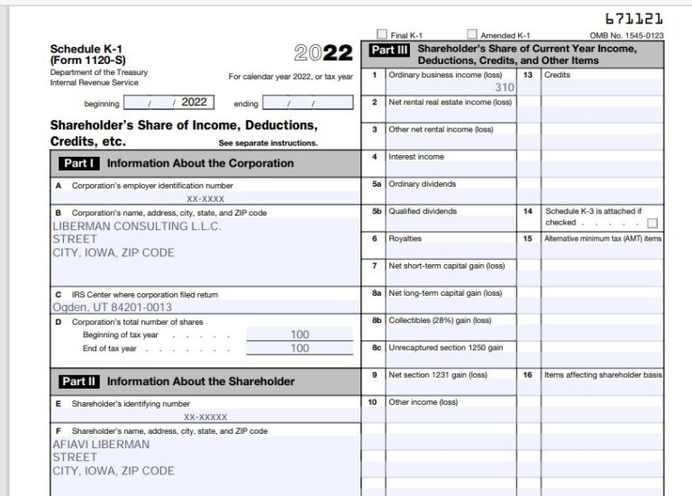 How to fill out Form 1120S and Schedule K-1 for 2022 – Nina's Soap