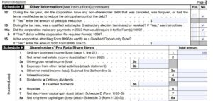 How to fill out Form 1120S and Schedule K-1 for 2022 – Nina's Soap