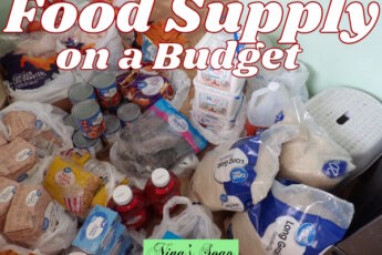 2 How to build your food supply on budget 11-15-23