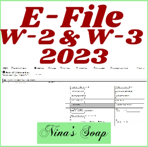 How to file W2 and W3 online for 2023