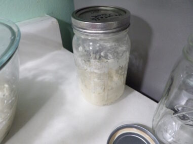 Day 2 How to make sourdough starter with unbleached flour 17 – Nina's Soap