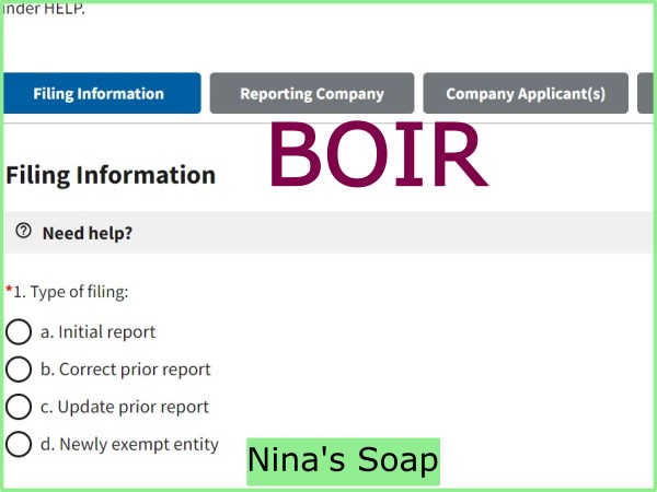 How to file an LLC Beneficial Ownership Information Report